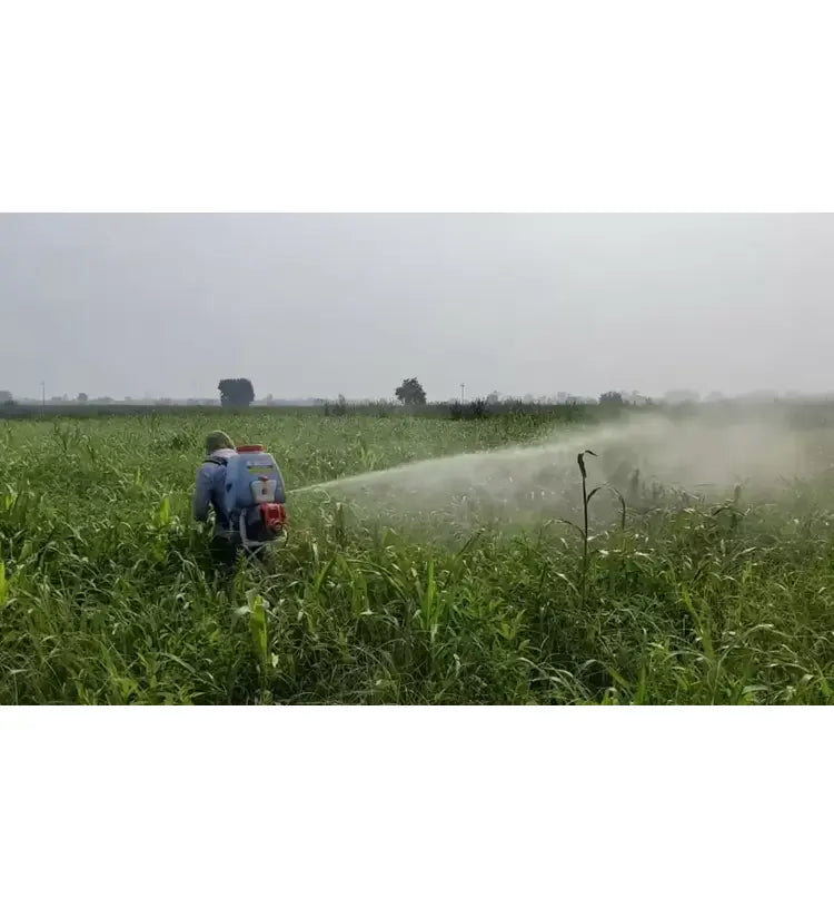 Garden Basket Spray, Gun garden tool,20 L Hand Held Sprayer (Pack of 1)