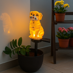 Solar Pug Lights