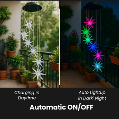 Star LED Solar Lights