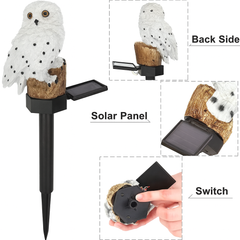 Solar Owl Light