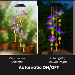 Well Wisher LED Solar Lights