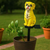 Solar Pug Lights