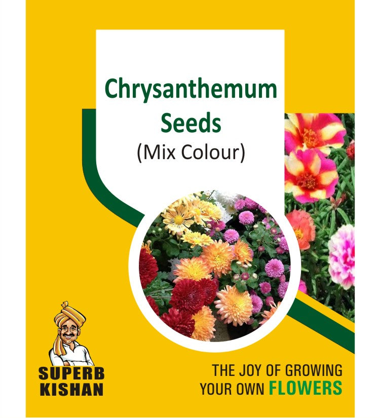 Chrysanthemum Mix Flower Seeds SuperbKishan