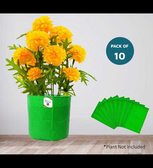 Plastic Grow Bag, Green And Orange, 9 X 9 Inch, Pack Of 10