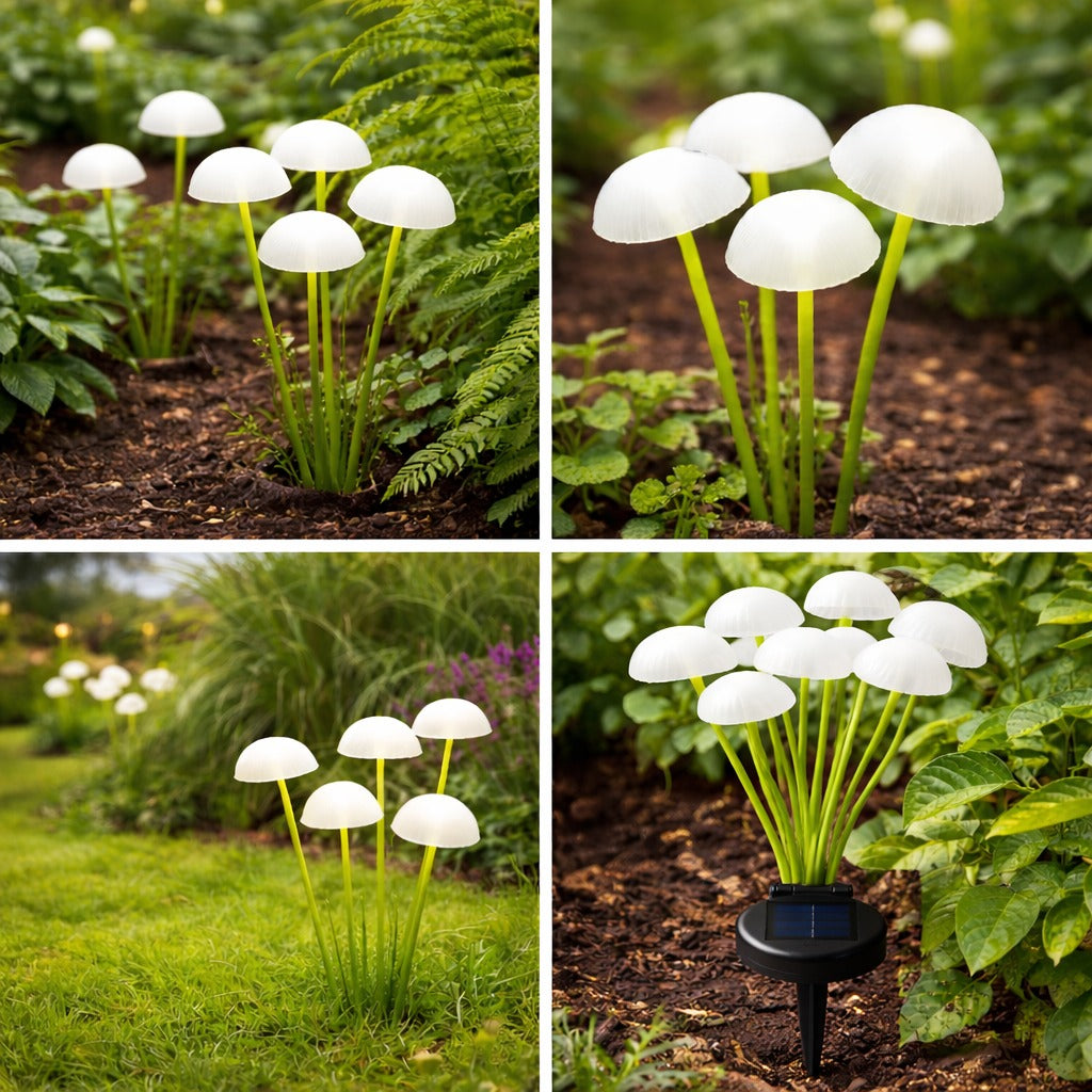 Solar Mushroom Lights | WW | Pack of 2