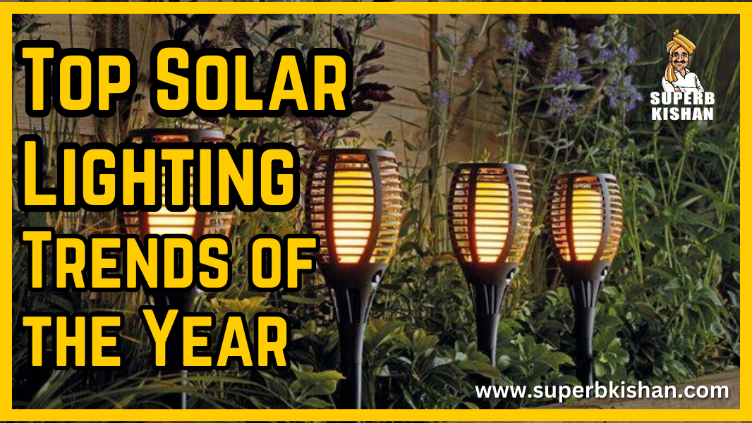 Top Solar Lighting Trends of the Year