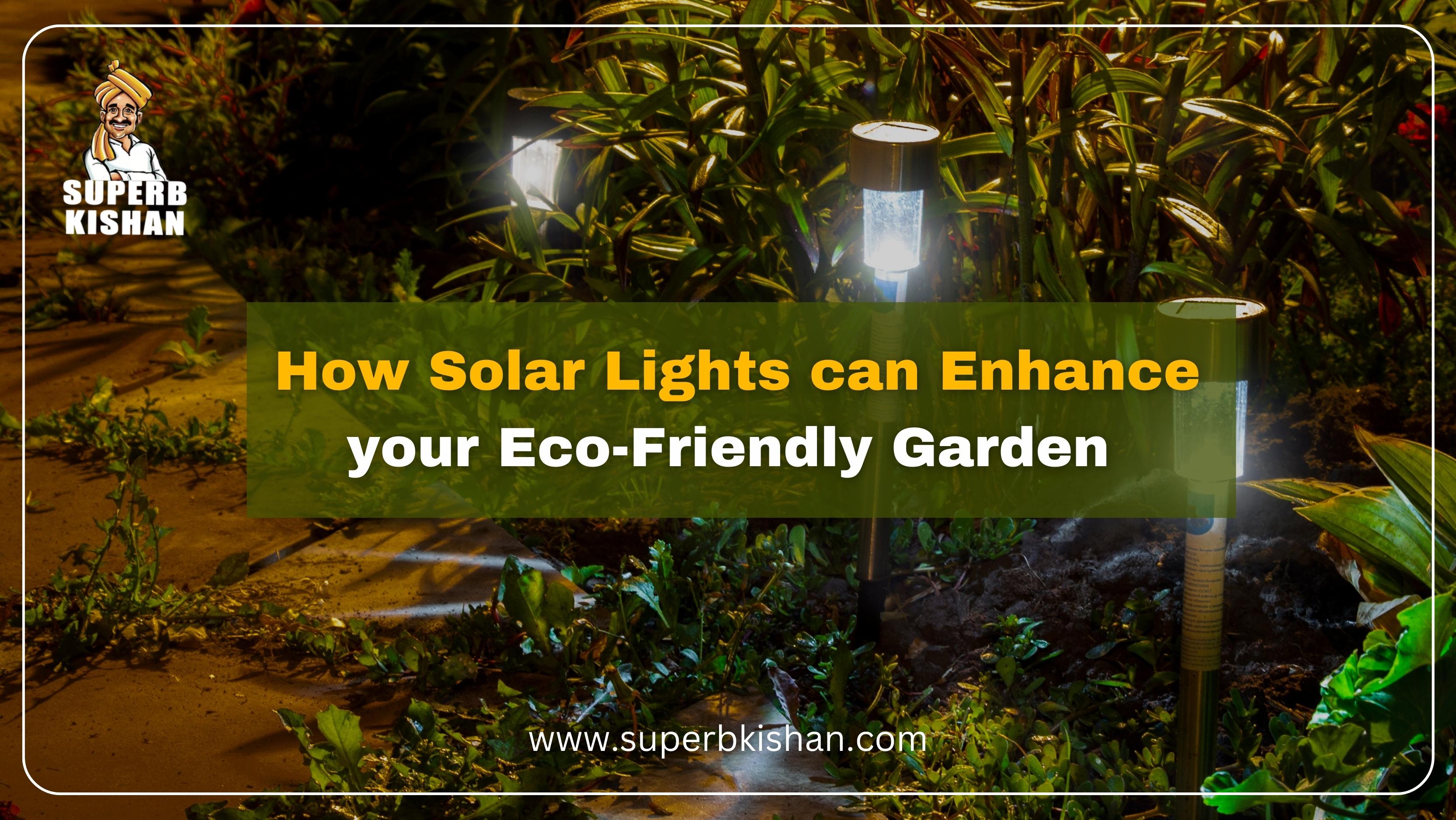 How Solar Lights can Enhance your Eco-Friendly Garden