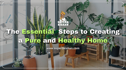 The Essential Steps to Creating a Pure and Healthy Home