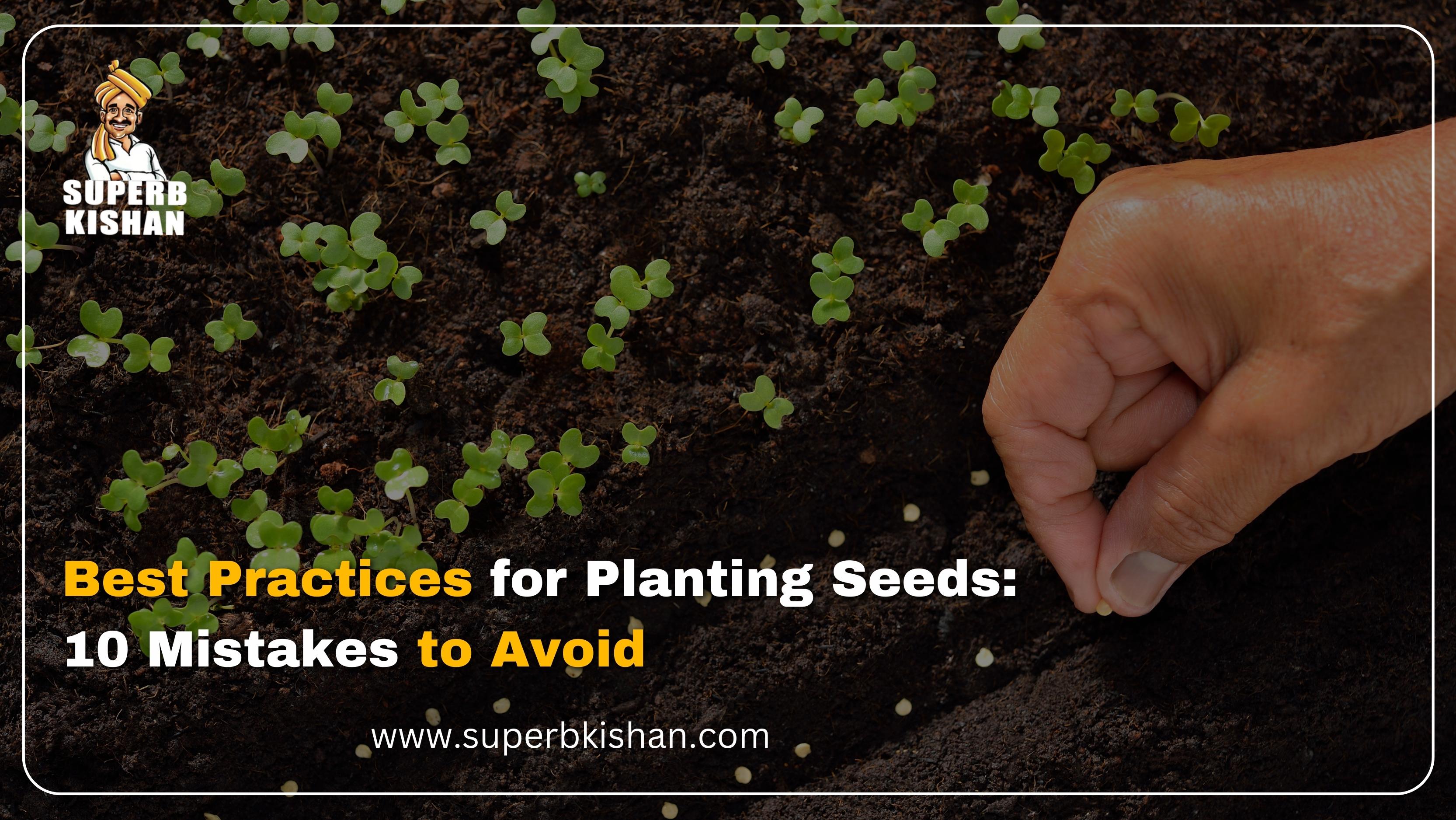 Best Practices for Planting Seeds: 10 Mistakes to Avoid