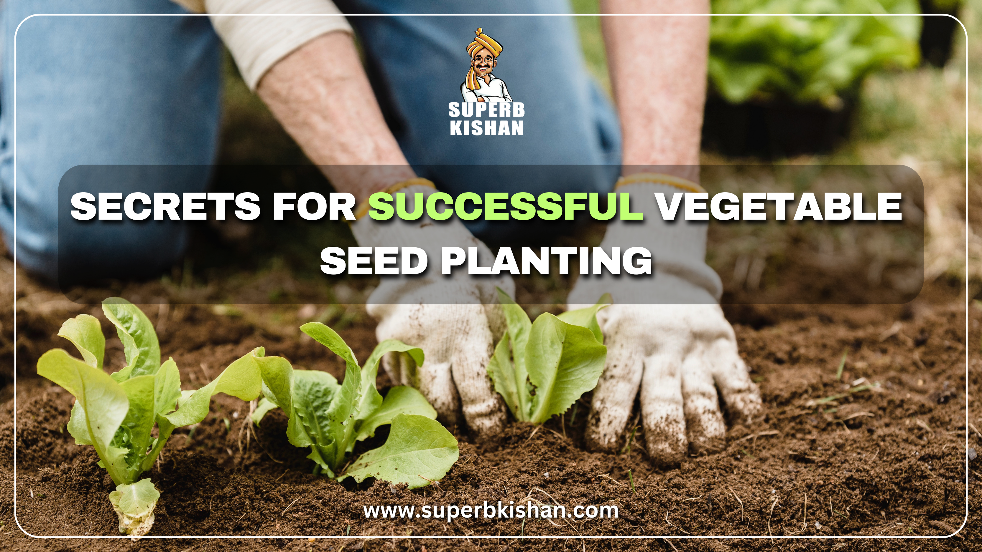 Secrets for Successful Vegetable Seed Planting