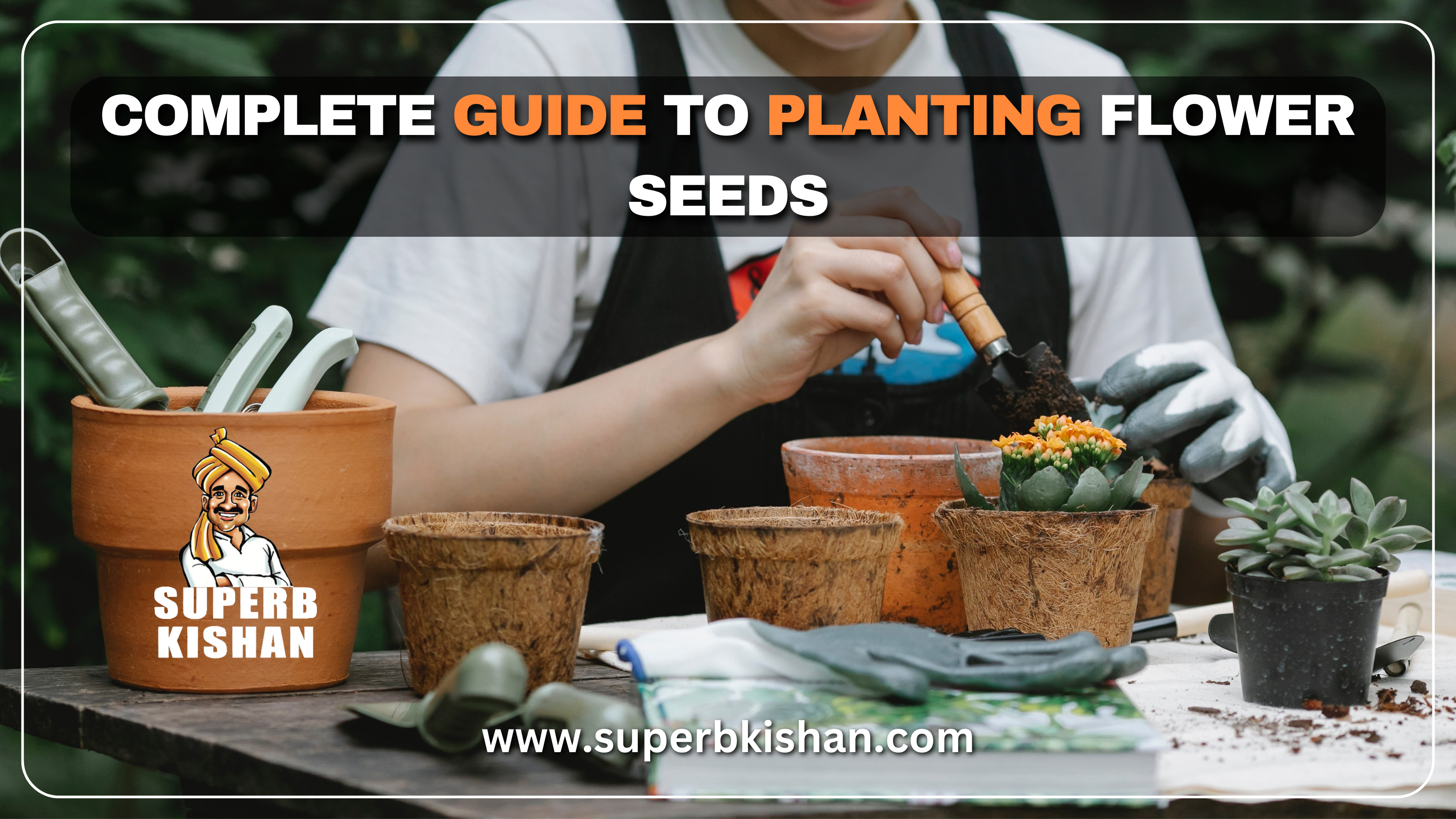 Complete Guide to Planting Flower Seeds