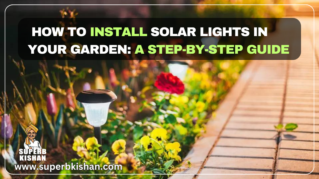 How to Install Solar Lights in Your Garden: A Step-by-Step Guide ...