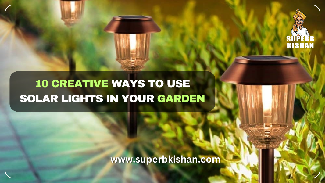 10 Creative Ways to Use Solar Lights in Your Garden SuperbKishan