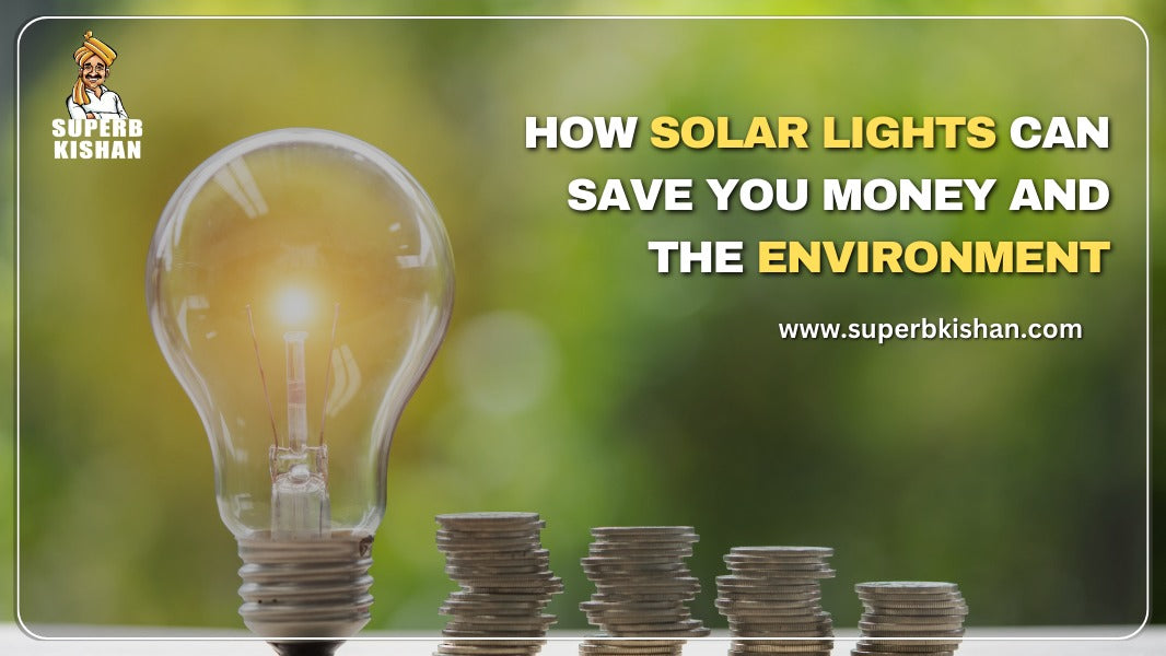 How Solar Lights Can Save You Money and the Environment