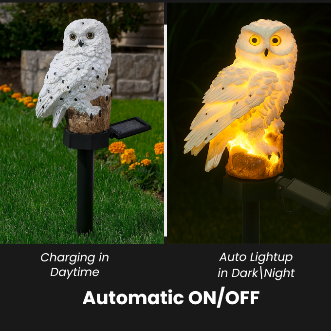 Solar Owl Light