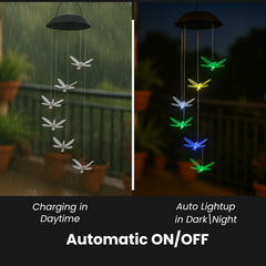 Dragonfly LED Solar Lights