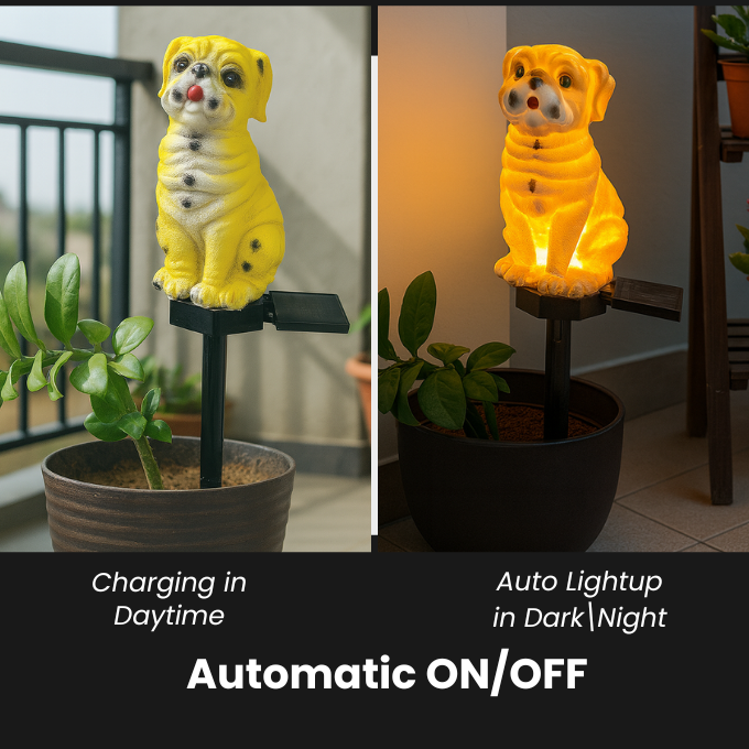 Solar Pug Lights