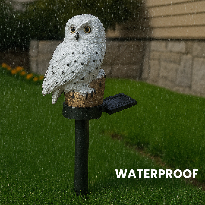 Solar Owl Light