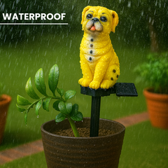 Solar Pug Lights
