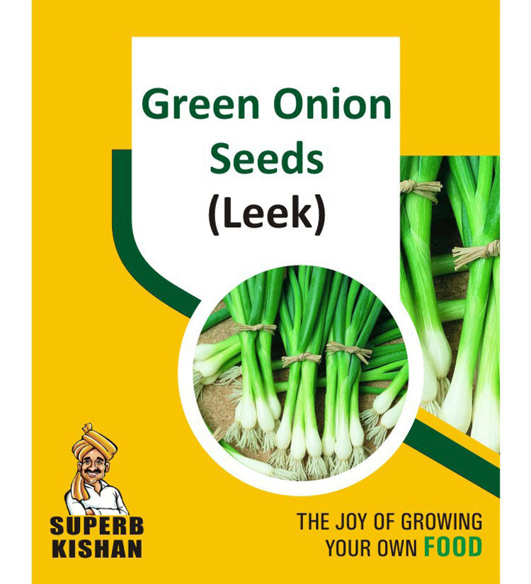 Green onion seeds (Leek) Vegetable Seeds SuperbKishan