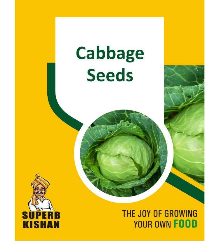 Cabbage Vegetables Seeds SuperbKishan