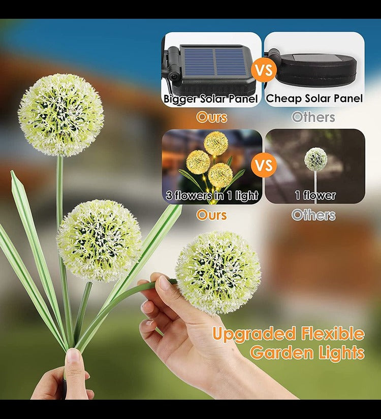 Solar Decorative Dandelion Lights
