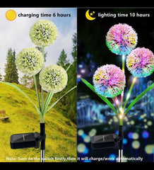 Solar Decorative Dandelion Lights