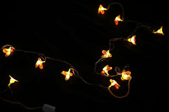 Solar Decorative Honeybee Lights